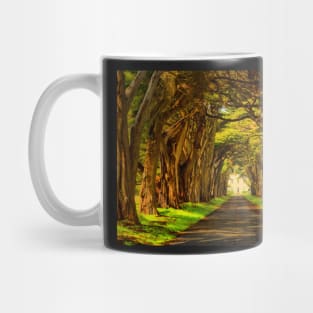 Cypress Golden Glow Mug